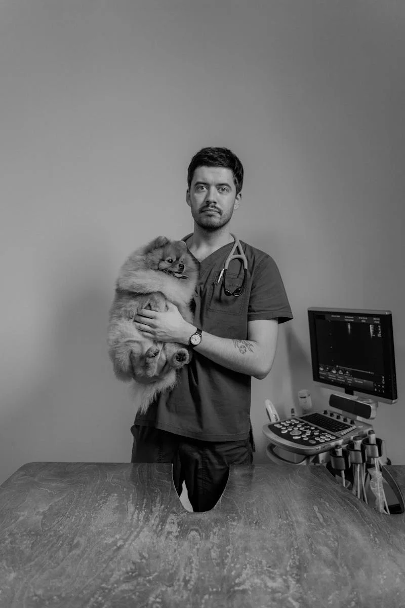 Clinical Veterinary Pet 15 - equipe