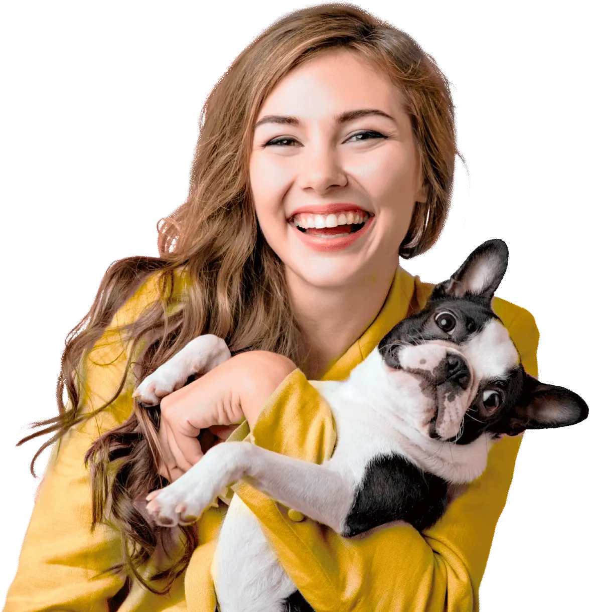 Clinical Veterinary Pet 15