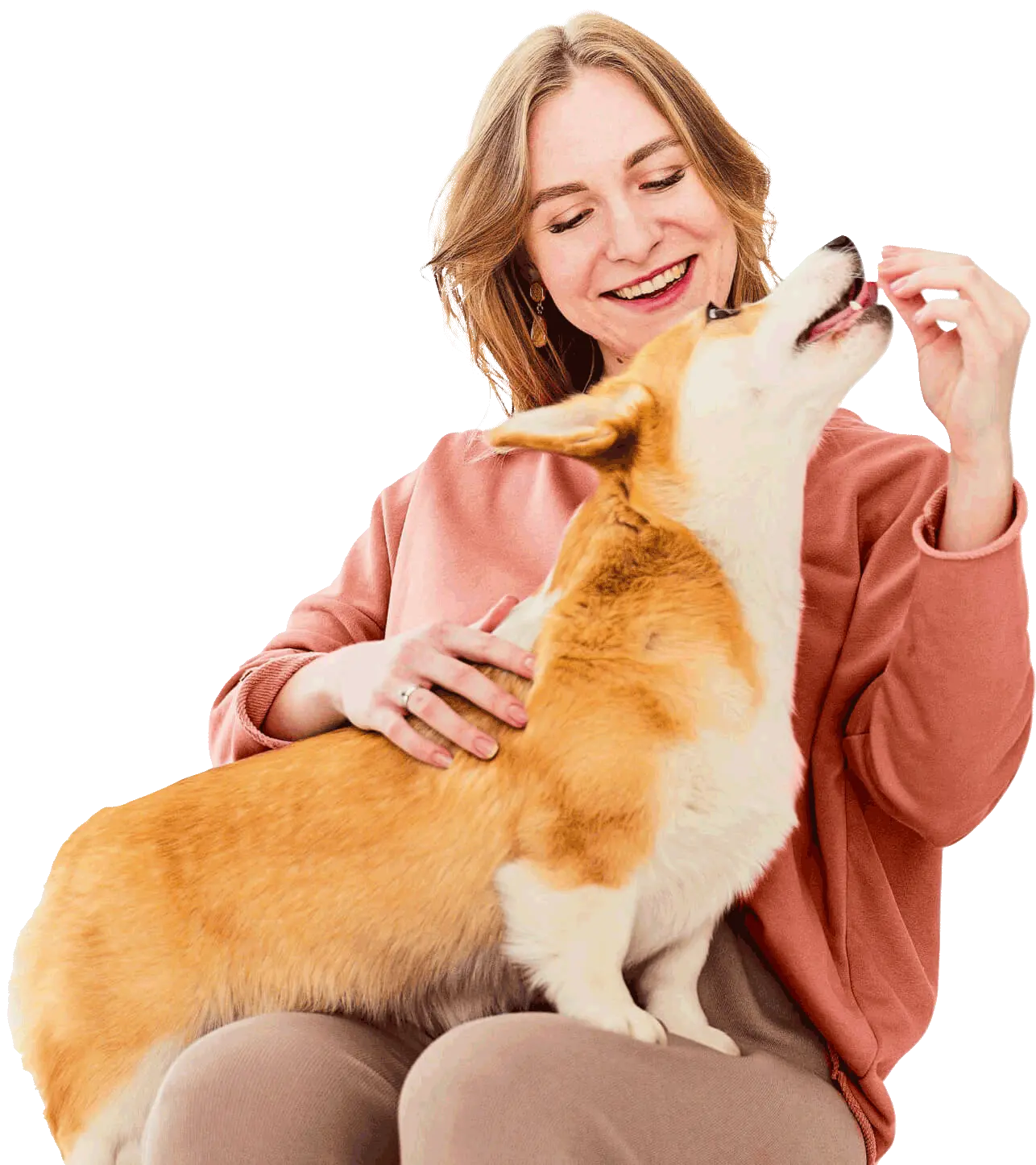 Clinical Veterinary Pet 15